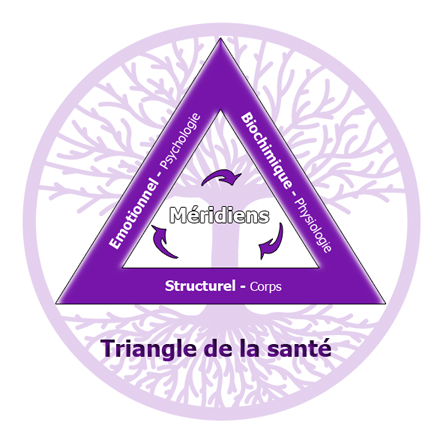 Triangle de la santé / Thérapeute Holistique / Prendre l'être humain dans sa globalité